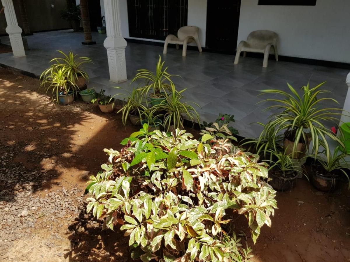 Hotel Jungle Reef Rest Mirissa Exterior foto